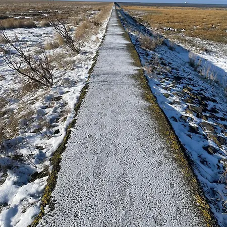 شقة Watt N Deichblick فريادريتشسكوغ